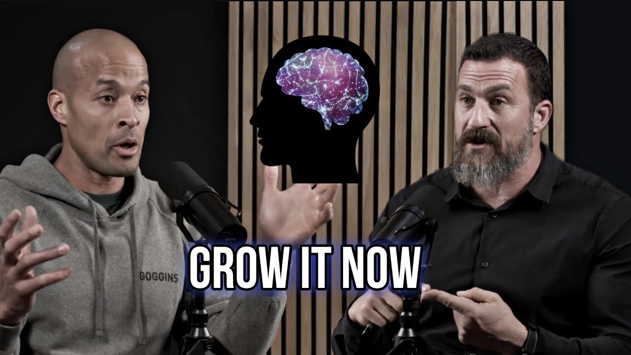 𝘽𝙪𝙞𝙡𝙙 𝙏𝙝𝙚 𝙒𝙄𝙇𝙇𝙋𝙊𝙒𝙀𝙍 | The Anterior Midcingulate Cortex