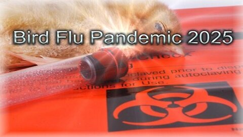 Marburg - Birld Flu Pandemic 2025 Part 2