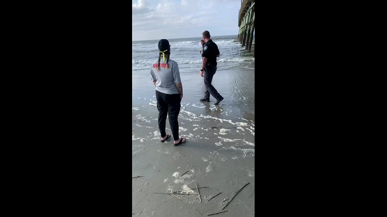Expert cops