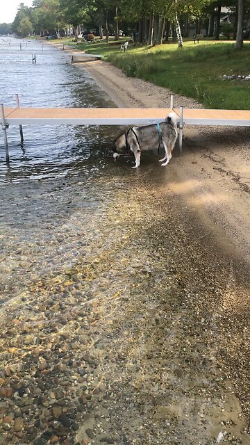 Saturday September 20, At times I might shut up the heavens so that no rain falls.