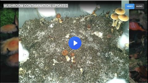 MUSHROOM CONTAMINATION -UPDATED