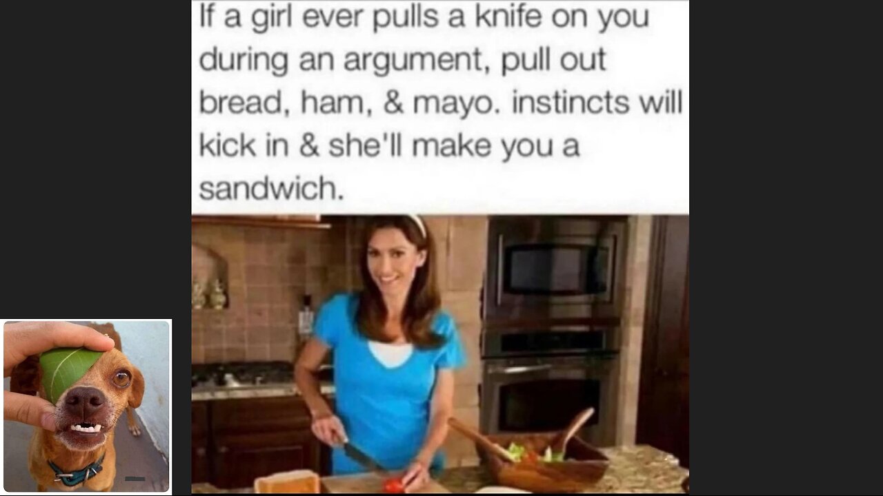 Memes That Will 99.0329% Make You Laugh. (e553)