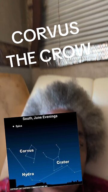 CORVUS THE DEATH CROW