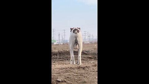 need a laugh 😃 😀 😄