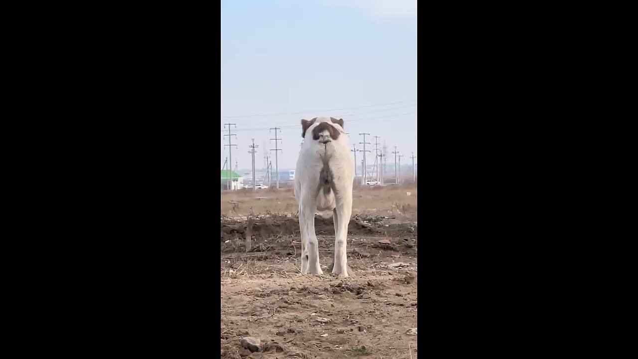 need a laugh 😃 😀 😄