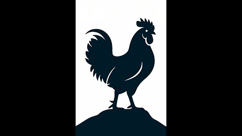 Ayam Cemani