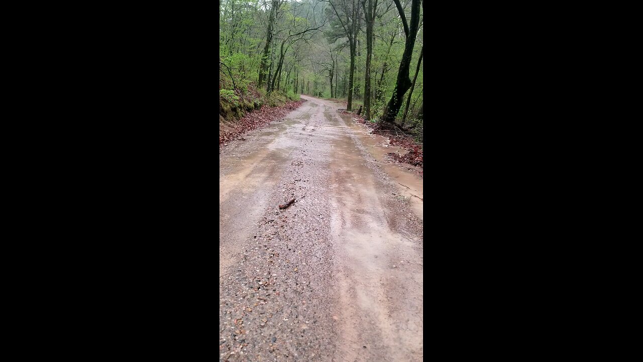 Flooding April 4 2025 (3)