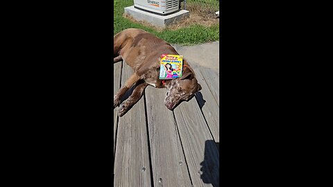 Betty and Veronica Jumbo Comics Digest No. 312 May 2023 Archie Comic Publications, Inc.