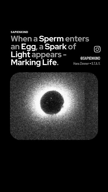 We finally understand human creation