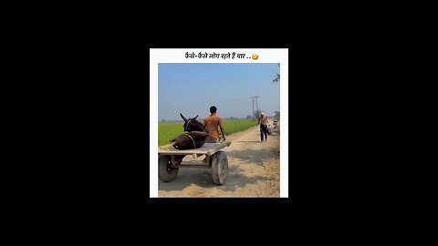 Funny 😂🤣 comedy videos 😂😂