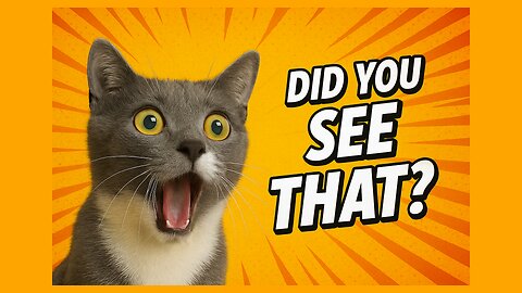 😺🐶 | FUNNY KATS and DOGS😂