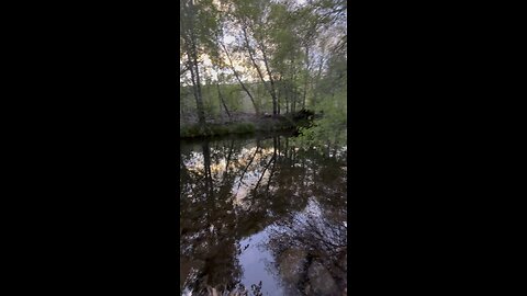 My view this morning!
