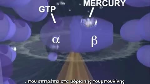 Υδράργυρος και η επίδρασή του στους ανθρώπινους νευρώνες