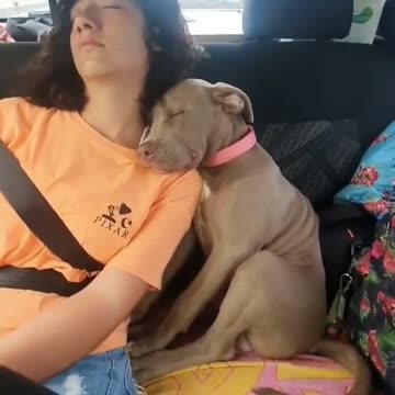 Nice body guard !!!!!!!