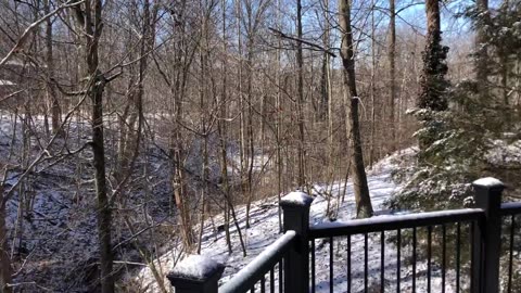 February 14, 2020 - Sunshine on a Cold Valentine's Day