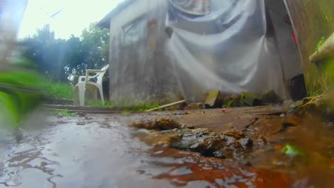 La cámara en un charco de agua, mientras llueve 27/12/2025