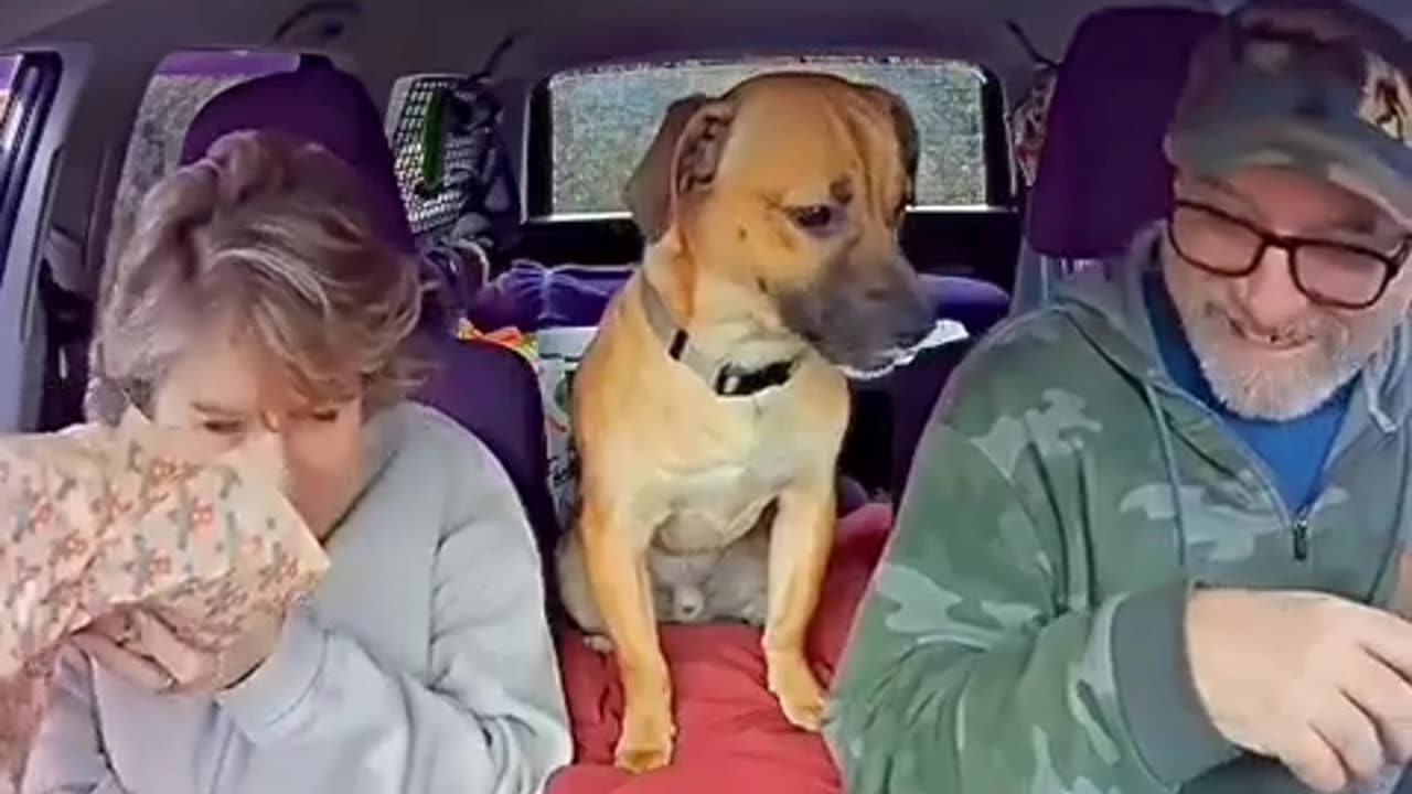 🤣🐶 Multitasking Goals: Barking While Snacking! | FunFM
