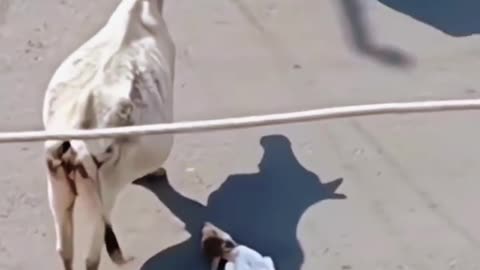 PROTECTING HER CHILD