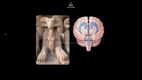 THE "BRAIN" KEEPING YOU STUCK (OCCULT LECTURE) 👁️