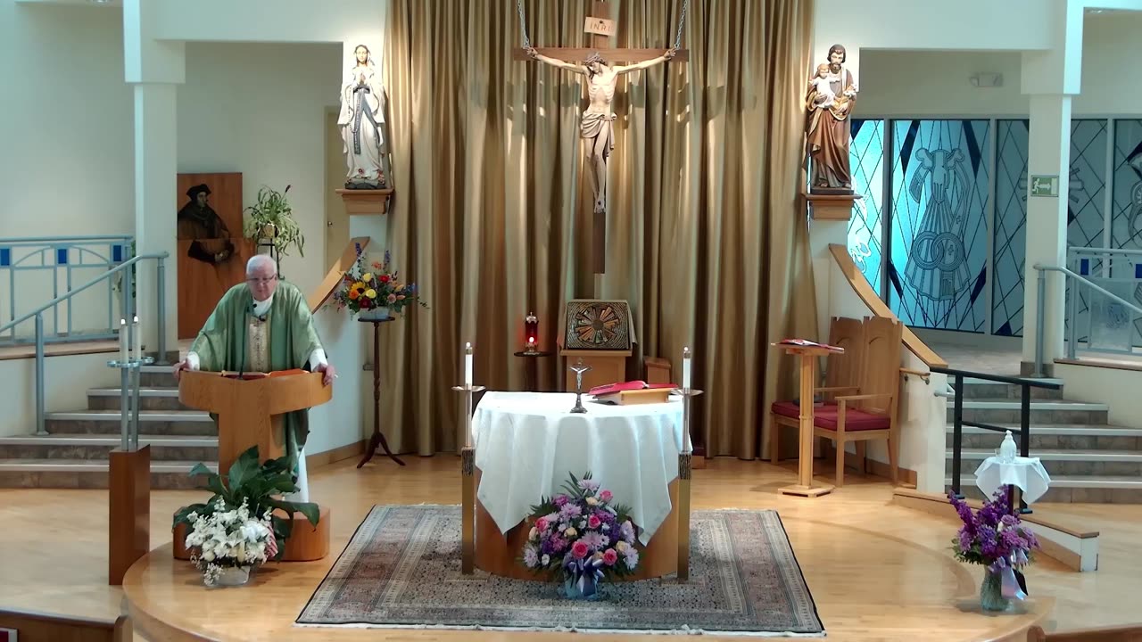 Homily for the 20th Sunday in Ordinary Time "C"
