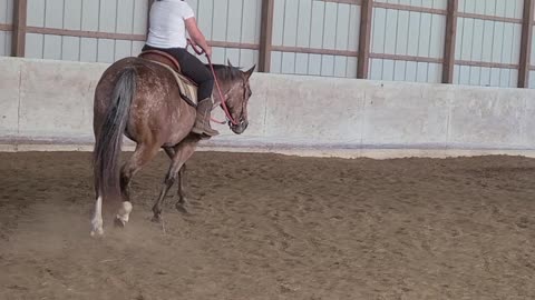 Kyla working on head position