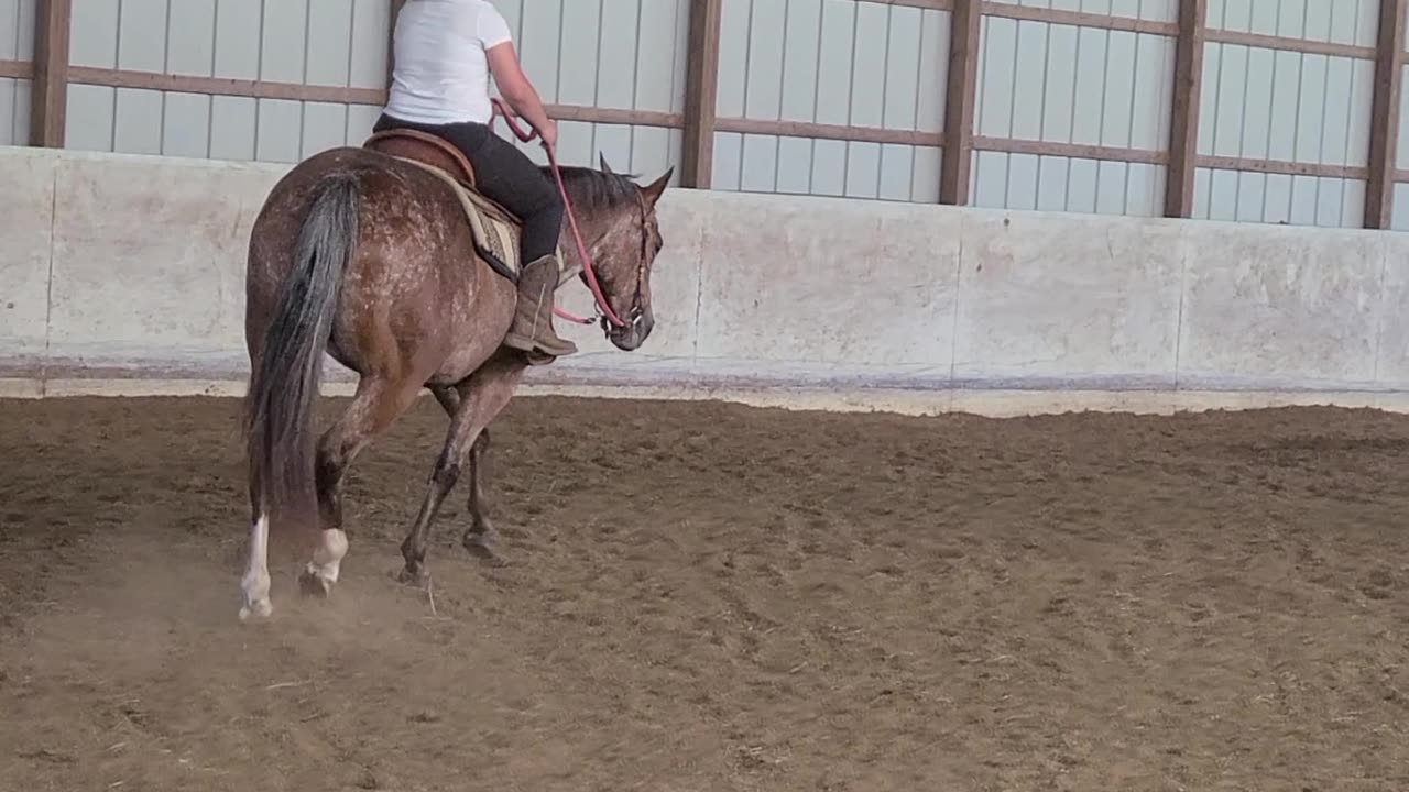 Kyla working on head position