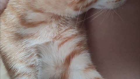 Lily is so sweet