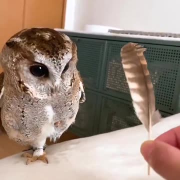 He just can’t believe it.. 😅