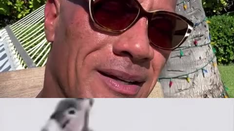 therock johnson