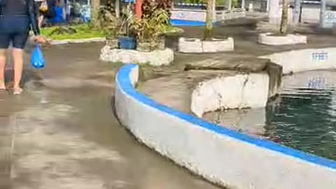 Hot Spring 1