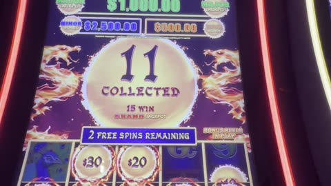 Peacock Princess #DragonLink 🦚🎰💵