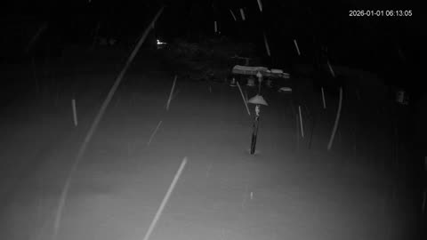 Bird Feeder in Western Maryland USA