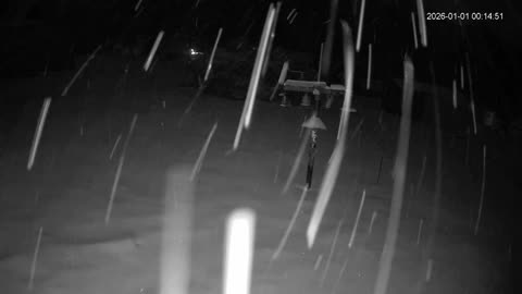 Bird Feeder in Western Maryland USA