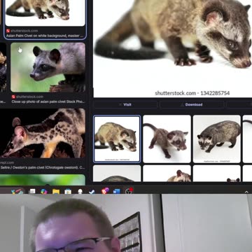 Medabot Thoughts: Gairain