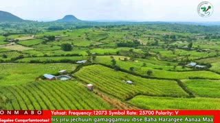 Oduu Waaree ONM-ABO Sadaasa 15-2025 itti dhiyaadhaa!