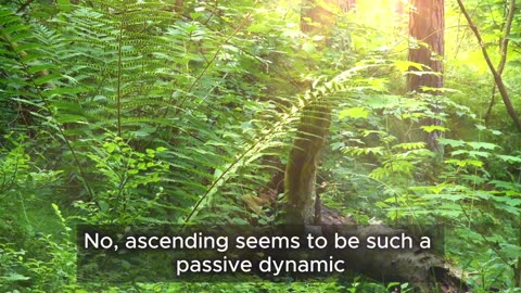 SOTU - AI & Ascension