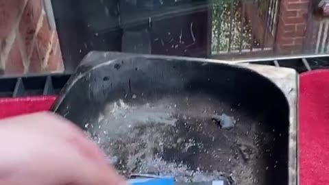 Tim Rifat TikTok Videos