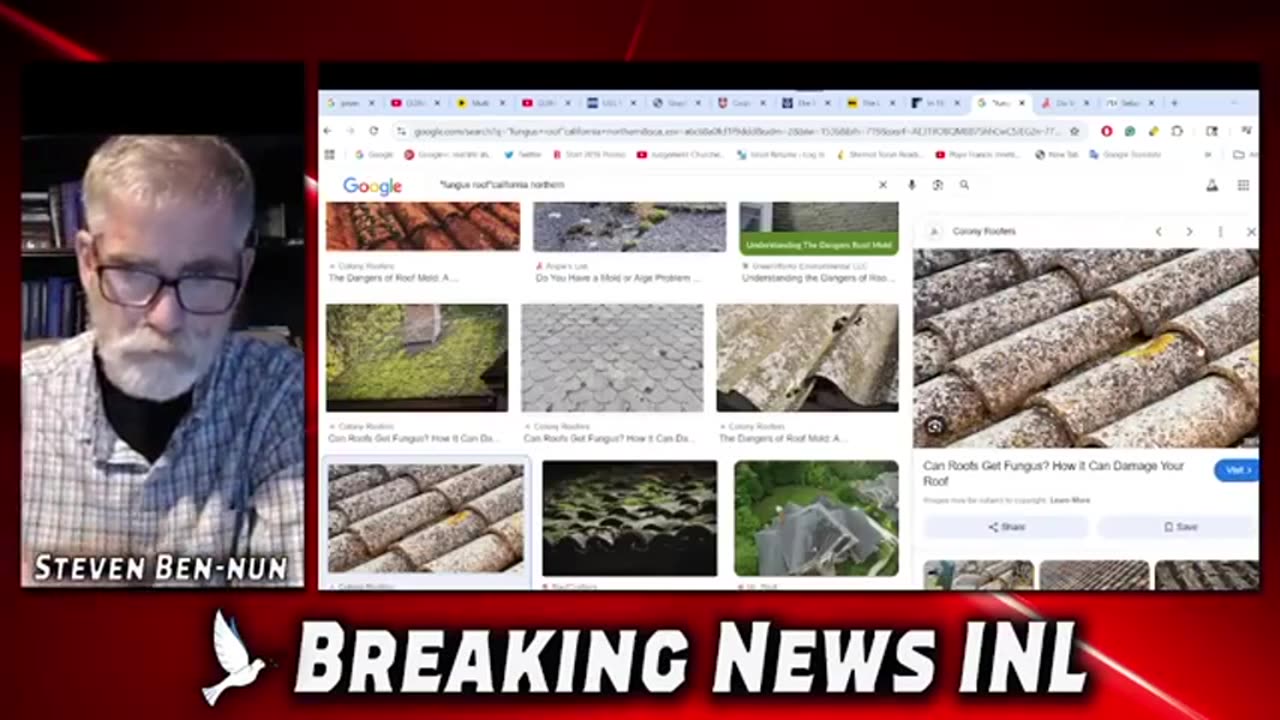 Fungal Pandemic Alert