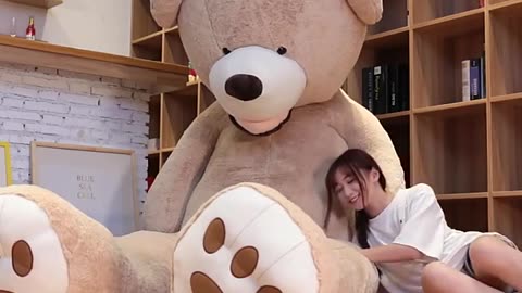 1.0/1.3/1.6/2.0/2.6/3.4m beautiful Wholesale custom big teddy toy bear, plush giant bear