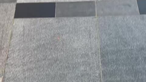 🏎️💥 Feel the ADRENALINE with this Supercar's ROAR! | LuxurySportsCars