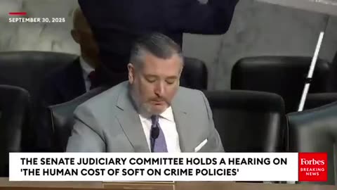 Ted Cruz: How Bout We All Come Together And Stop What?