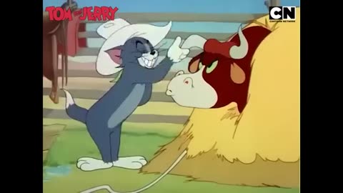 Tom and Jerry 😺🐭| A Frosty Chase! ❄️| Cat & The Mouse | Animated Cartoon 😍