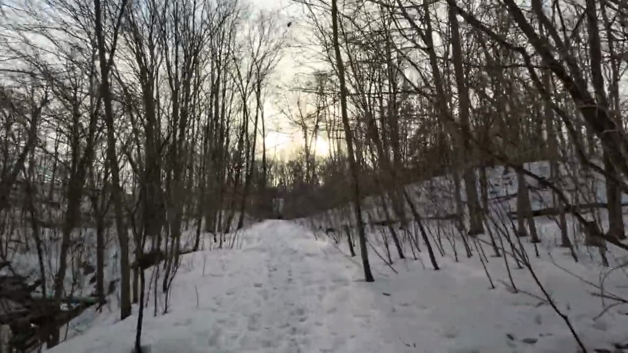 Walking in snow, winter walk in the woods.