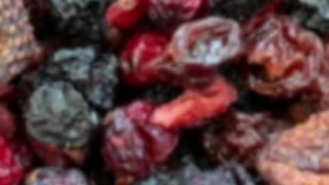 Pemmican: The Ultimate Survival Food