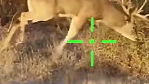 Breaking: 30-30 LEVITATING FACE PLANT❌ #scopecam #shorts #deerhunting #viral #gu