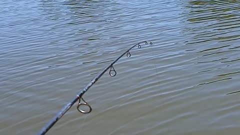 Fishing with Gump, aboard the SS BoatyMcBoatFace #3