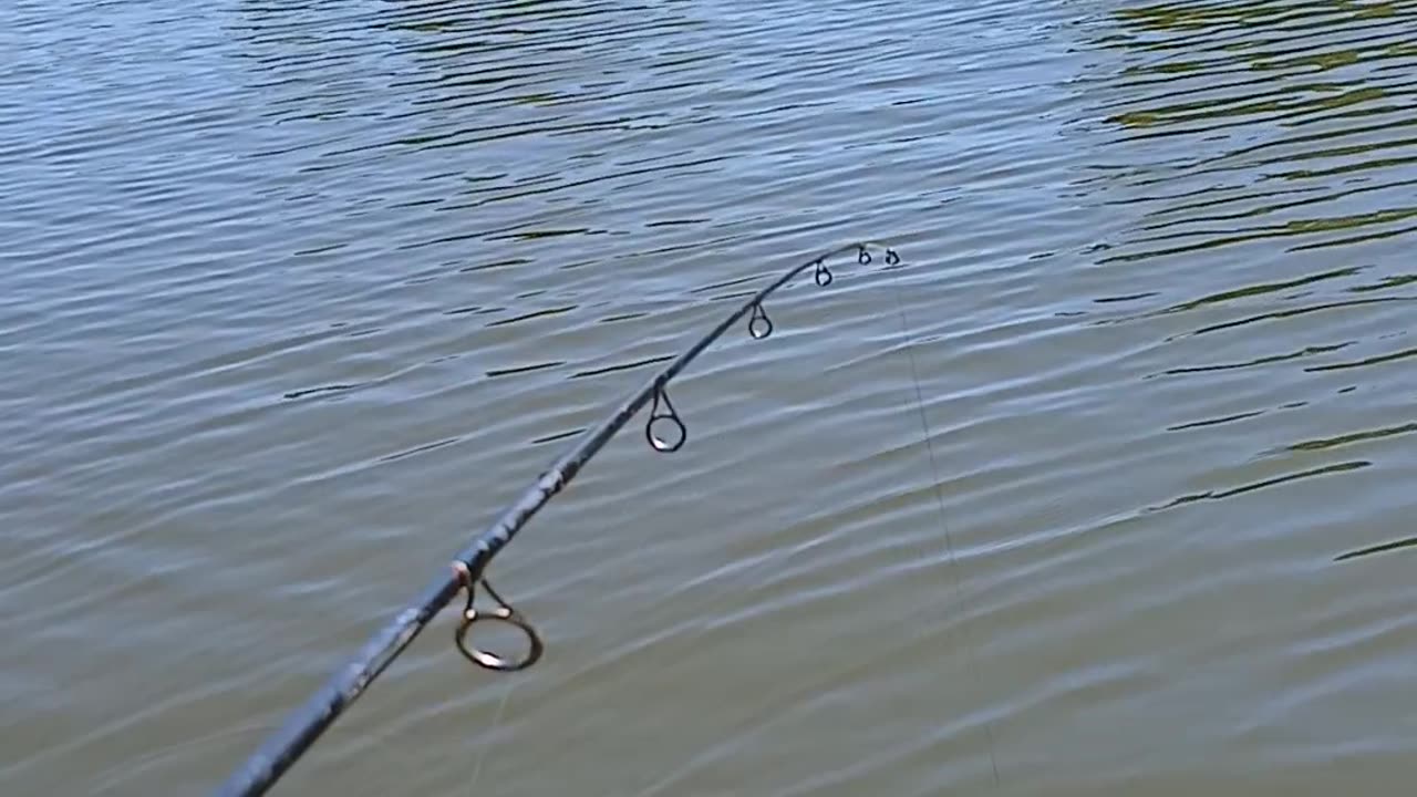 Fishing with Gump, aboard the SS BoatyMcBoatFace #3
