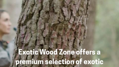 Exotic Wood Zone – Your Source for Premium Woods
