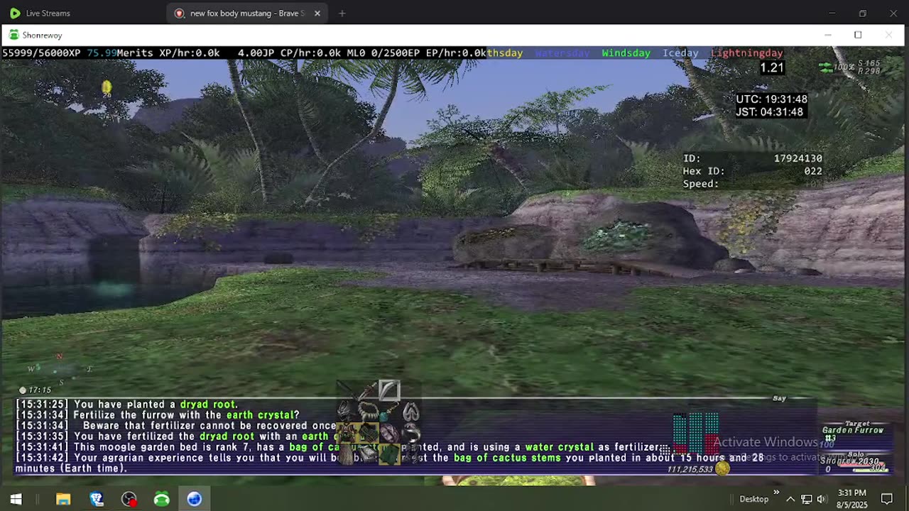 Playing Final Fantasy XI Online