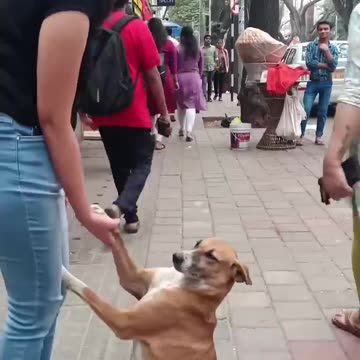 Look at his cuteness.